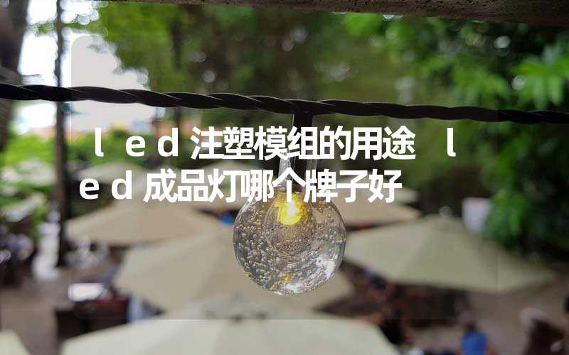 led注塑模组的用途 led成品灯哪个牌子好